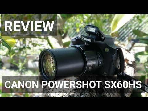 Canon SX60: La mejor cámara para capturar momentos increíbles